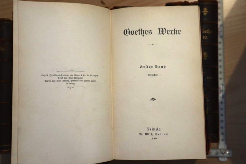 Goethes Werke Leipzig Grunow 1889 10 Bände
