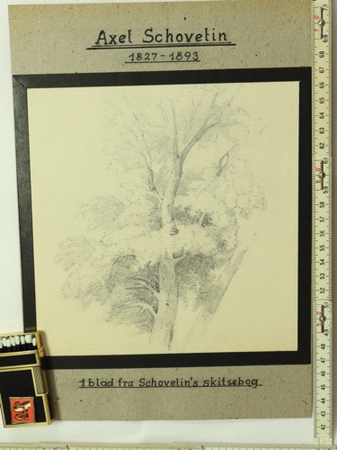Axel Thorsen Schovelin Zeichnung antik Baum Skizze
