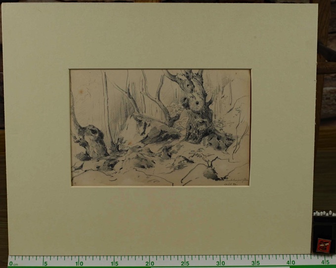 Zuschreibung Adolf Johann Hoeffler 1825-1898 Zeichnung antik Wald bei Glion 1884